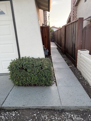 Complete Side Pathway Deep Clean – Precision Wash, Mold Removal & Finish Rinse - Tired of dull, dirty concrete? Watch it come back to life. We don’t just pressure wash — we restore. Our custom solution melts away grime, mold, and buildup, then we carefully wash every inch until it looks brand new. We rinse walls, fences, and everything around so your space is spotless — no mess, no streaks, no shortcuts. It’s deep, clean satisfaction that makes your home look fresh, bright, and alive again. One clean and you’ll never go back. Complete Side Pathway Deep Clean – Precision Wash, Mold Removal & Finish Rinse - Tired of dull, dirty concrete? Watch it come back to life. We don’t just pressure wash — we restore. Our custom solution melts away grime, mold, and buildup, then we carefully wash every inch until it looks brand new. We rinse walls, fences, and everything around so your space is spotless — no mess, no streaks, no shortcuts. It’s deep, clean satisfaction that makes your home look fresh, bright, and alive again. One clean and you’ll never go back.