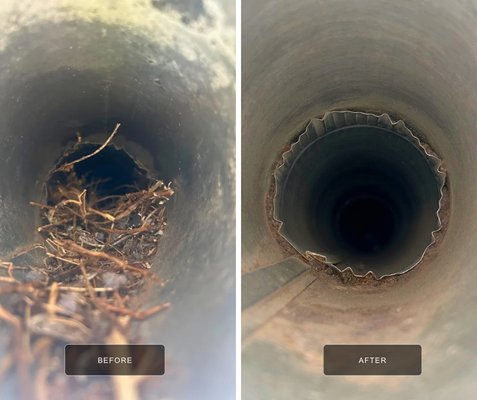 Bird’s Nest Dryer Vent Cleaning in Canton, MA - Removed a heavily clogged bird’s nest from a dryer vent in Canton, MA. The blockage was restricting airflow and creating a potential fire hazard. We fully cleaned the vent line, removed lint buildup, and restored proper airflow to help improve dryer performance and safety. Bird’s Nest Dryer Vent Cleaning in Canton, MA - Removed a heavily clogged bird’s nest from a dryer vent in Canton, MA. The blockage was restricting airflow and creating a potential fire hazard. We fully cleaned the vent line, removed lint buildup, and restored proper airflow to help improve dryer performance and safety.