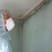 Mold Testing & Assessment - Signs of water intrusion? Visible microbial growth? High humidity? Fungal spores are invisible in the air. We can test for what you cannot see. Allergies? Mold sensitivity? Autoimmune problems? Other unexplained symptoms? We can detect what molds and allergens are in your home. Mold Testing & Assessment - Signs of water intrusion? Visible microbial growth? High humidity? Fungal spores are invisible in the air. We can test for what you cannot see. Allergies? Mold sensitivity? Autoimmune problems? Other unexplained symptoms? We can detect what molds and allergens are in your home.