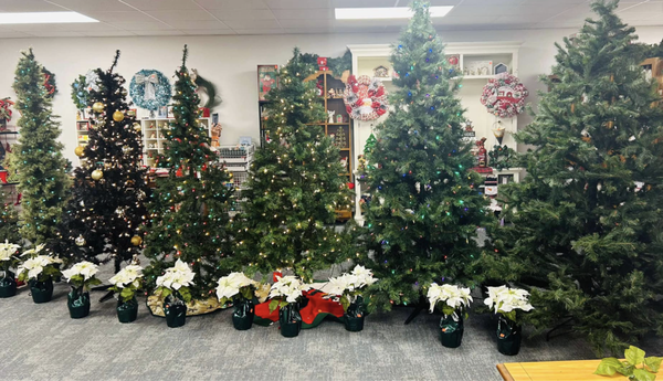 Holiday stuff - Get ready for the holidays with our great selection of trees and decorations Holiday stuff - Get ready for the holidays with our great selection of trees and decorations