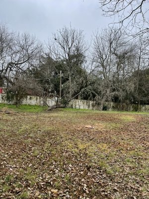 Dead tree over wires removed safely - Call for any tree service tou need, over 10 yrs experience. Dead tree over wires removed safely - Call for any tree service tou need, over 10 yrs experience.