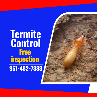 FREE Termite Inspection - Call us today to schedule your FREE Termite Inspection: 951-482-7383 FREE Termite Inspection - Call us today to schedule your FREE Termite Inspection: 951-482-7383