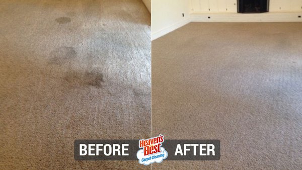 Dry in One Hour! - Our unique "Dry in 1 Hour" process yields exceptional results, which greatly reduces typical drying times. Your carpet won't take hours or days to dry. It will be dry in 1 hour.
You won't need fans, open windows or the heater turned on in the winter, or the air conditioner turned on in the summer. Your carpets will be clean and dry in 1 hour after we leave! Dry in One Hour! - Our unique "Dry in 1 Hour" process yields exceptional results, which greatly reduces typical drying times. Your carpet won't take hours or days to dry. It will be dry in 1 hour.
You won't need fans, open windows or the heater turned on in the winter, or the air conditioner turned on in the summer. Your carpets will be clean and dry in 1 hour after we leave!