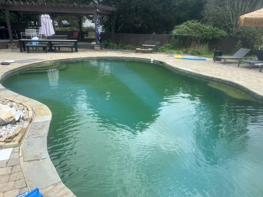 Pool clean up - Started this job on Saturday and here it is today looking awesome! I’m happy with this turn out. Give us a call today so we can get you right. (478)318-5348
Pool service 
Pump repair /replacement 
Filter repair  /replacement 
Filter cleaning 
Pool closings and openings 
Light replacement 
And much more
We are fully licensed and insured