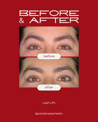 Lashes & Brows - A series of lashes and brows I’ve done recently. Obsessed with these results!