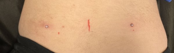 Piercings By Bobby - Recent Piercings by Bobby Piercings By Bobby - Recent Piercings by Bobby