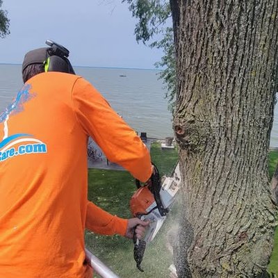 Green Bay’s Top Choice for Professional Tree Removal - When it comes to residential and commercial tree removal, trust the experts at EPIC Tree Care in Green Bay, WI. With over 19 years of experience, we’ve mastered the skills needed to tackle even the most hazardous tree removals. Whether it’s a storm-damaged limb hanging precariously over your property or an overgrown tree crowding your yard, we’re here to help. 



Call us today at (920) 629-9476 for a free estimate, and let us restore safety and beauty to your landscape!