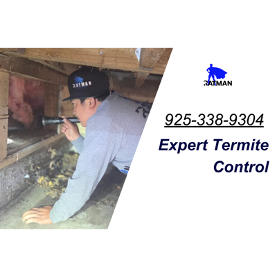 Expert Termite Control - Termites are destructive insects that feed on wood and other cellulose-based materials in homes. They silently chew through wooden structures, including beams, floors, and furniture, causing significant damage over time. If left untreated, termite infestations can weaken the structural integrity of a house, leading to costly repairs and safety risks. Expert Termite Control - Termites are destructive insects that feed on wood and other cellulose-based materials in homes. They silently chew through wooden structures, including beams, floors, and furniture, causing significant damage over time. If left untreated, termite infestations can weaken the structural integrity of a house, leading to costly repairs and safety risks.