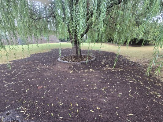 Landscaping needs - This client had issues with the areas under their trees, where the grass wouldn't grow.  We added topsoil to surrounding areas to flatten the landscape, pavers around the trunk of the trees, and mulch inside the pavers, giving the area a special look and preparing the surrounding area for sod installation.