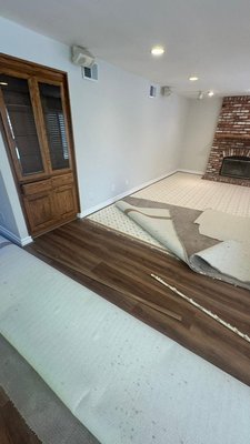 Carpet removal. - Dismantling carpet and shelves on the wall.