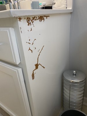Done by a wall painter in 15 minutes. It’s globbed on paint and did not adhere to the substrate. We are going to make this right - This bathroom vanity was done by a wall painter in 15 minutes. Not only did he not properly prep the cabinets but globbed on the paint for a uneven surface that can be peeled off with a fingernail. Latex paint aka wall paint does not belong on cabinets Done by a wall painter in 15 minutes. It’s globbed on paint and did not adhere to the substrate. We are going to make this right - This bathroom vanity was done by a wall painter in 15 minutes. Not only did he not properly prep the cabinets but globbed on the paint for a uneven surface that can be peeled off with a fingernail. Latex paint aka wall paint does not belong on cabinets