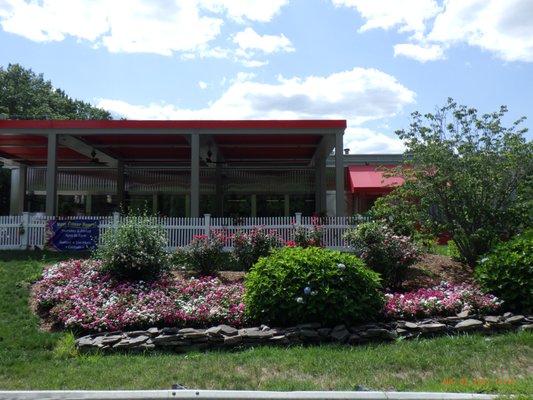Tyngsboro Diner - Discover the stunning transformation of these Tyngsboro Diner gardens in this early August update! This project showcases our dedication to reviving outdoor spaces with vibrant, thriving plantings.

Mid-May Planting: We kicked off the renewal by planting 850 colorful annual Vinca, chosen for their vibrant hues and ability to brighten the diner’s exterior. These heat-tolerant annuals promised a bold display throughout the summer.
Mid-June Challenge: The Vincas faced an early struggle, with leaves turning yellow, likely due to nutrient deficiencies or soil conditions. Our team sprang into action with a tailored solution.
Early August Success: After three applications of liquid iron spraying, the Vincas have made a remarkable recovery, now resembling small bushes bursting with color. The garden has transformed into a lush, eye-catching feature that enhances the diner’s charm.
The liquid iron treatments addressed the nutrient issue, revitalizing the plants and proving our expertise in diagnosing and correcting garden challenges. Paired with the Vinca’s natural resilience, this renewal has turned the diner’s landscape into a local highlight.
