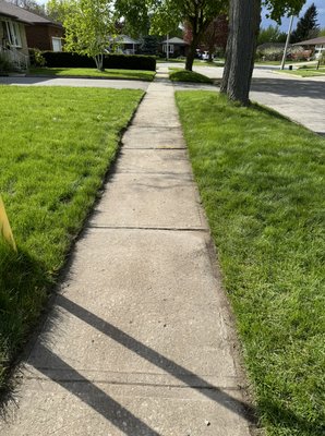 Edging - This edging was done in a quick and smooth motion, the homeowner was very impressed and wanted me to do the rest of the yard!