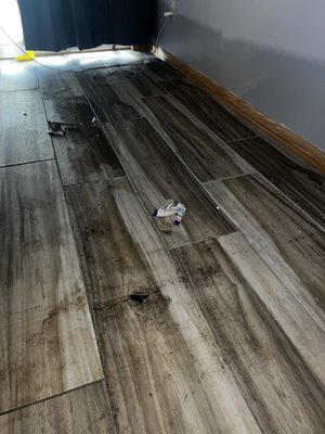 Residential Cleaning! - You need your house clean but you don't want to do it? Call us today and schedule your cleaning! Residential Cleaning! - You need your house clean but you don't want to do it? Call us today and schedule your cleaning!