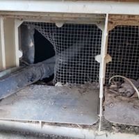 Mice and Rat Program - At Victory Pest Control we don't only evict the rodents from your home, we will exclude the openings they use to get in so they don't come back.