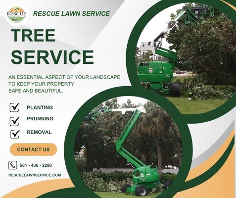 Tree Service - Professional tree care for residential and commercial properties. We provide tree trimming, palm pruning, removals, stump work, and storm cleanup. Our experienced team uses professional equipment to safely maintain healthy, attractive, and well-managed trees. Tree Service - Professional tree care for residential and commercial properties. We provide tree trimming, palm pruning, removals, stump work, and storm cleanup. Our experienced team uses professional equipment to safely maintain healthy, attractive, and well-managed trees.