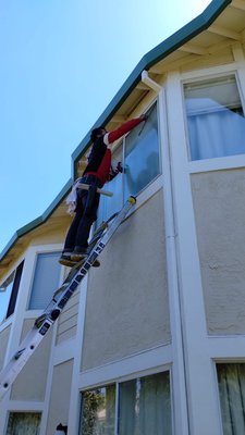 Window washing - These windows were stained with paint, when they were cleaned, the paint was removed and they were shining. Window washing - These windows were stained with paint, when they were cleaned, the paint was removed and they were shining.
