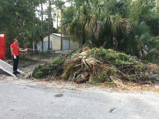 Yard Debris Clean Out - There is no job too big! This is a yard debris cleanout, from start to finish! It's a dirty job but someone has to do it!!!