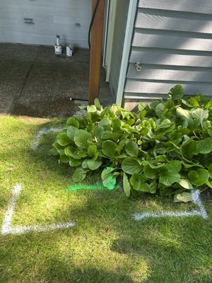 Sewer Repair - Excavation and clean out install for a broken sewer line.