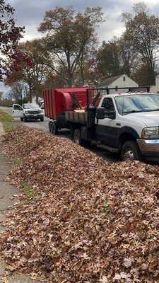 WE REMOVE IT ALL! - LEAVE IT UP TO US TO CLEAR YOUR PROPERTY OF EVERY THING FROM LEAVES TO TREES! WE REMOVE IT ALL! - LEAVE IT UP TO US TO CLEAR YOUR PROPERTY OF EVERY THING FROM LEAVES TO TREES!