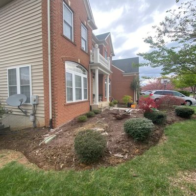 Spring cleanup - Spring cleanup Spring cleanup - Spring cleanup