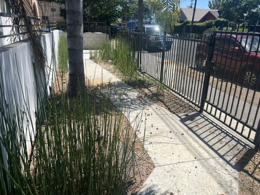 Yo me dedico al mantenimiento de Jardin y de lansdcapeng - Los dueños me llamaron para limpiar la propiedad y les gustó como se la dejé y ahora me la dieron de mantenimiento de Jardin y me han recomendado con sus amigos