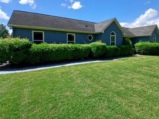 Hedge trimming - Before & After 
Hedge trimming