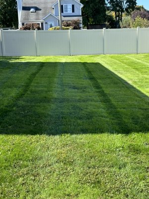 Lawn restoration. Aerated, seeded and fertilized - This backyard was not treated for a long time. I took the project and now there are the results Lawn restoration. Aerated, seeded and fertilized - This backyard was not treated for a long time. I took the project and now there are the results