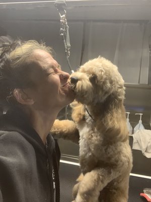 Dog Gone Grooming - I’m a full service dog groomer I have been grooming 25years I absolutely love working with all dogs Dog Gone Grooming - I’m a full service dog groomer I have been grooming 25years I absolutely love working with all dogs