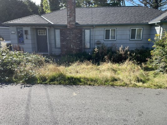 Yard clean up - Before and after pictures Yard clean up - Before and after pictures