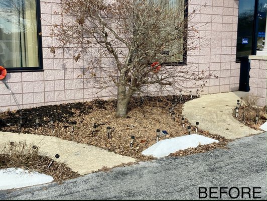 Commercial Properties - 🏢 Commercial Landscaping & Property Maintenance
Keep your commercial property looking professional and well-maintained with DC Lawncare, Landscaping & Excavation.
We provide lawn care, landscaping, cleanups, leaf removal, mulching, aeration and overseeding, excavation, and seasonal property maintenance for businesses and commercial properties.
We focus on reliable service, quality workmanship, and keeping your property looking its best year-round. We offer year-long service contracts for businesses looking for consistent, dependable property maintenance through every season. Commercial Properties - 🏢 Commercial Landscaping & Property Maintenance
Keep your commercial property looking professional and well-maintained with DC Lawncare, Landscaping & Excavation.
We provide lawn care, landscaping, cleanups, leaf removal, mulching, aeration and overseeding, excavation, and seasonal property maintenance for businesses and commercial properties.
We focus on reliable service, quality workmanship, and keeping your property looking its best year-round. We offer year-long service contracts for businesses looking for consistent, dependable property maintenance through every season.