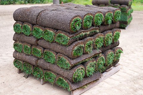 Sod Installation - Have you built a new home and want the property graded and a front and back lawn installed? Does your existing lawn have patchy, brown spots or signs of pest damage? Do you want your lawn to look its best for an upcoming event at your property? It takes a lot of expertise in getting grass to properly take root and grow into a healthy, vibrant, lush green lawn. It’s not as simple as laying down sod or throwing out some grass seed. There is a specific process that must be followed if you want the lawn to look its best. Sod Installation - Have you built a new home and want the property graded and a front and back lawn installed? Does your existing lawn have patchy, brown spots or signs of pest damage? Do you want your lawn to look its best for an upcoming event at your property? It takes a lot of expertise in getting grass to properly take root and grow into a healthy, vibrant, lush green lawn. It’s not as simple as laying down sod or throwing out some grass seed. There is a specific process that must be followed if you want the lawn to look its best.