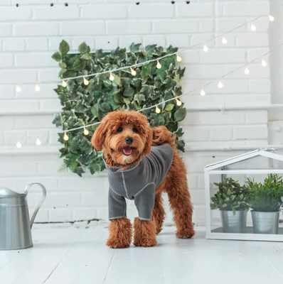 Luxury Dog Clothing - From shoes to puffer jackets to sweaters, we have it all. Check out our online store or drop by for a visit. Luxury Dog Clothing - From shoes to puffer jackets to sweaters, we have it all. Check out our online store or drop by for a visit.