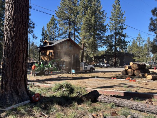 Logging & Land Clearing - You need your South Lake Tahoe property cleared efficiently and safely for your upcoming construction project. The sound of our professional equipment working through dense brush and overgrown vegetation signals the start of your site transformation. Our team at Alpenglow Tree Service understands the unique terrain and vegetation challenges that South Lake Tahoe properties present, from rocky slopes to thick undergrowth that requires specialized removal techniques.
Our comprehensive land clearing services include brush and tree clearing, vegetation removal, site preparation for construction, and fire-safe clearing that meets California regulations. We handle everything from small residential lots to larger commercial properties, ensuring your land is properly graded and ready for the next phase of development. Each project includes debris removal, stump grinding when needed, and final site cleanup.
Book your land clearing consultation today to get your South Lake Tahoe property construction-ready. Logging & Land Clearing - You need your South Lake Tahoe property cleared efficiently and safely for your upcoming construction project. The sound of our professional equipment working through dense brush and overgrown vegetation signals the start of your site transformation. Our team at Alpenglow Tree Service understands the unique terrain and vegetation challenges that South Lake Tahoe properties present, from rocky slopes to thick undergrowth that requires specialized removal techniques.
Our comprehensive land clearing services include brush and tree clearing, vegetation removal, site preparation for construction, and fire-safe clearing that meets California regulations. We handle everything from small residential lots to larger commercial properties, ensuring your land is properly graded and ready for the next phase of development. Each project includes debris removal, stump grinding when needed, and final site cleanup.
Book your land clearing consultation today to get your South Lake Tahoe property construction-ready.
