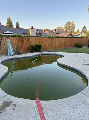 New account, from green to clean - Pool had high CYA ultimately had to be drained.  Quick chlorine wash did the trick.