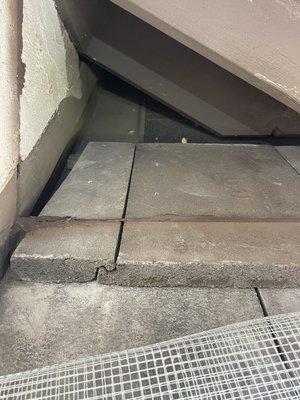Profin complet
profin completely the whole house - This house has rats in the attic, but our team of workers perfectly solved the problem. Profin complet
profin completely the whole house - This house has rats in the attic, but our team of workers perfectly solved the problem.