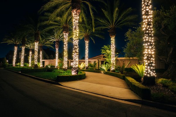 Warm White Lighting - Our #1 requested color option is warm white. It calls for an elegant & timeless display that never gets old. Warm White Lighting - Our #1 requested color option is warm white. It calls for an elegant & timeless display that never gets old.