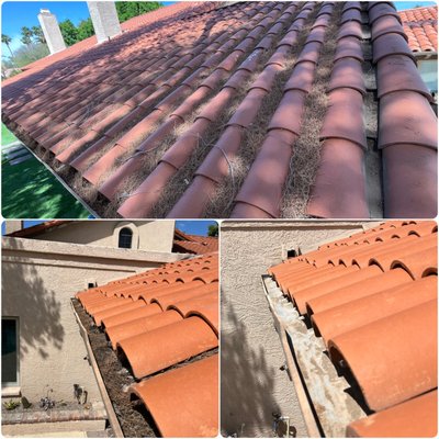 Long overdue gutter clean - This client's roof and gutters were filled with pine needles. We used an extended pole and brush to get clean the roof tiles without needing to get on the roof then cleaned out the gutters and downspouts. Now they're ready for rain season!