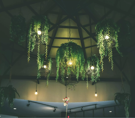 Lighting Design & Installation - Enhance your space with our custom lighting design and installation services, tailored to meet your aesthetic and functional needs for both indoor and outdoor settings. Lighting Design & Installation - Enhance your space with our custom lighting design and installation services, tailored to meet your aesthetic and functional needs for both indoor and outdoor settings.