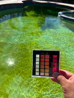 SkyBlue Pool Services LLC - (626) 346-4740 - Try Us Free for 3 Weeks! Experience the difference, no obligation. With over 10 years of expertise and commitment, we deliver top-quality pool service you can trust. Keep us only if you’re satisfied! SkyBlue Pool Services LLC - (626) 346-4740 - Try Us Free for 3 Weeks! Experience the difference, no obligation. With over 10 years of expertise and commitment, we deliver top-quality pool service you can trust. Keep us only if you’re satisfied!