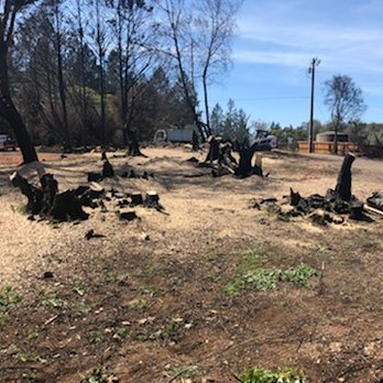 We even grind the stump - Multiple jobs we have done over the MANY years!! We even grind the stump - Multiple jobs we have done over the MANY years!!