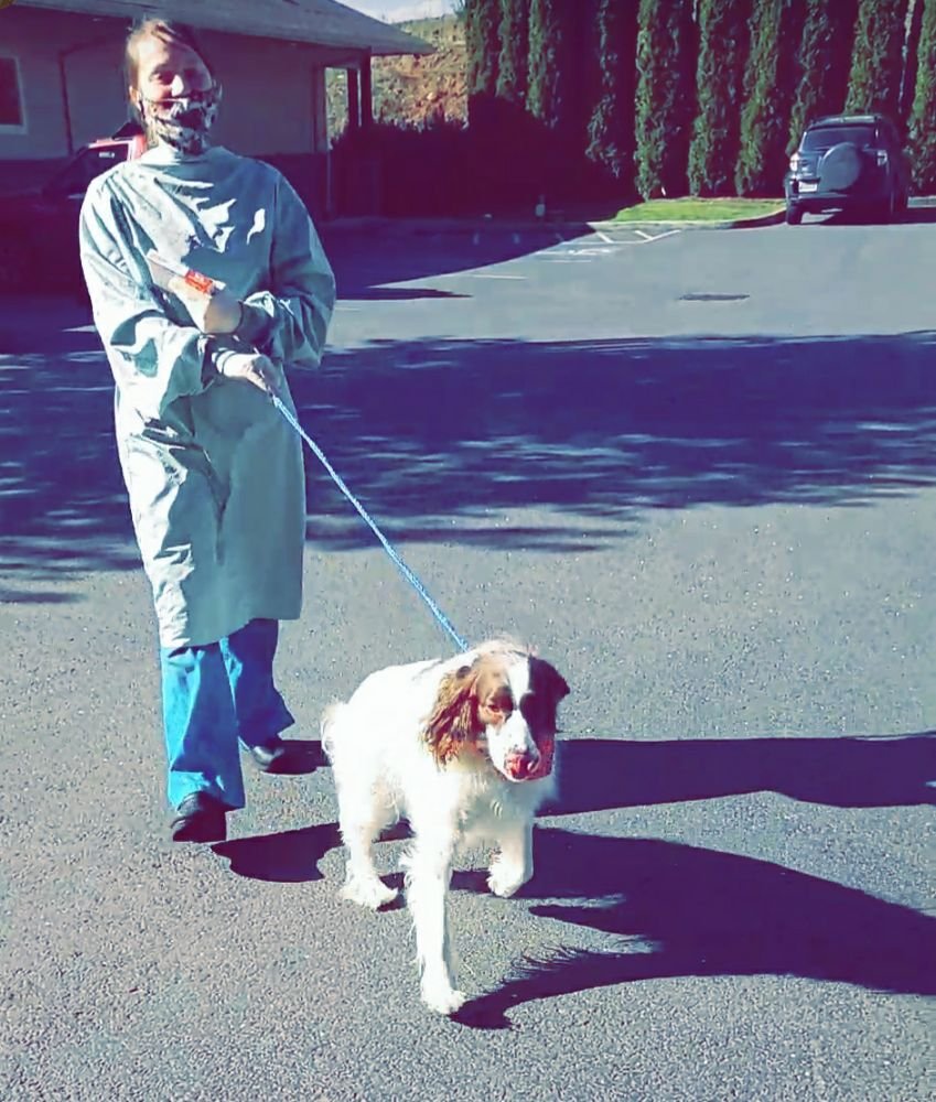 indoor dog potty grass