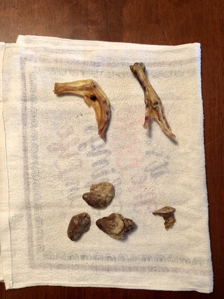 roos holistic pet supplies