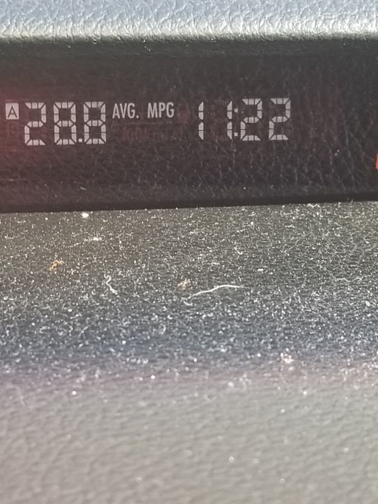 Sea Of Green Nurseries Gardening 204 E Route 66 Flagstaff Az Phone Number Yelp