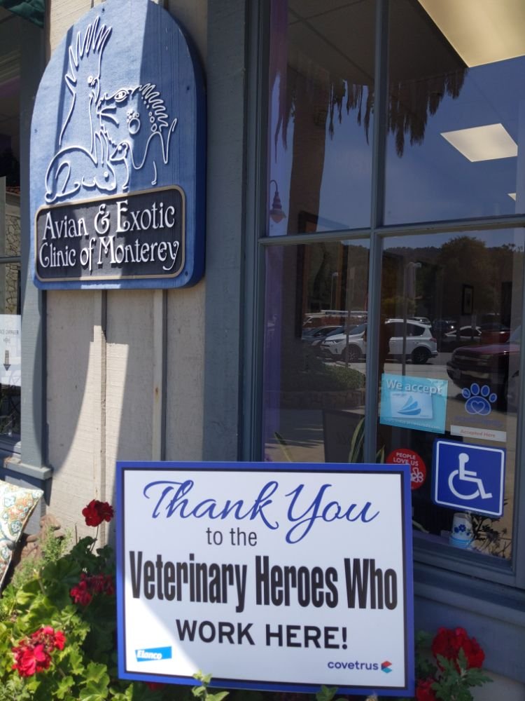 exotic clinic near me