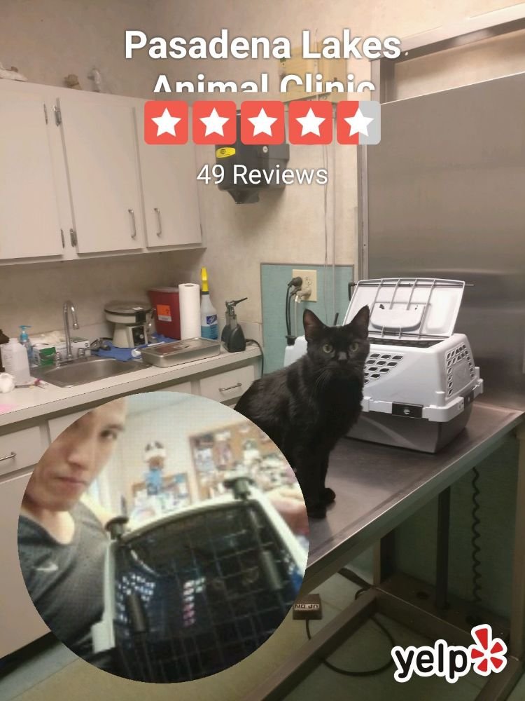 pasadena animal clinic