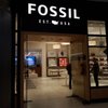 fossil store moa
