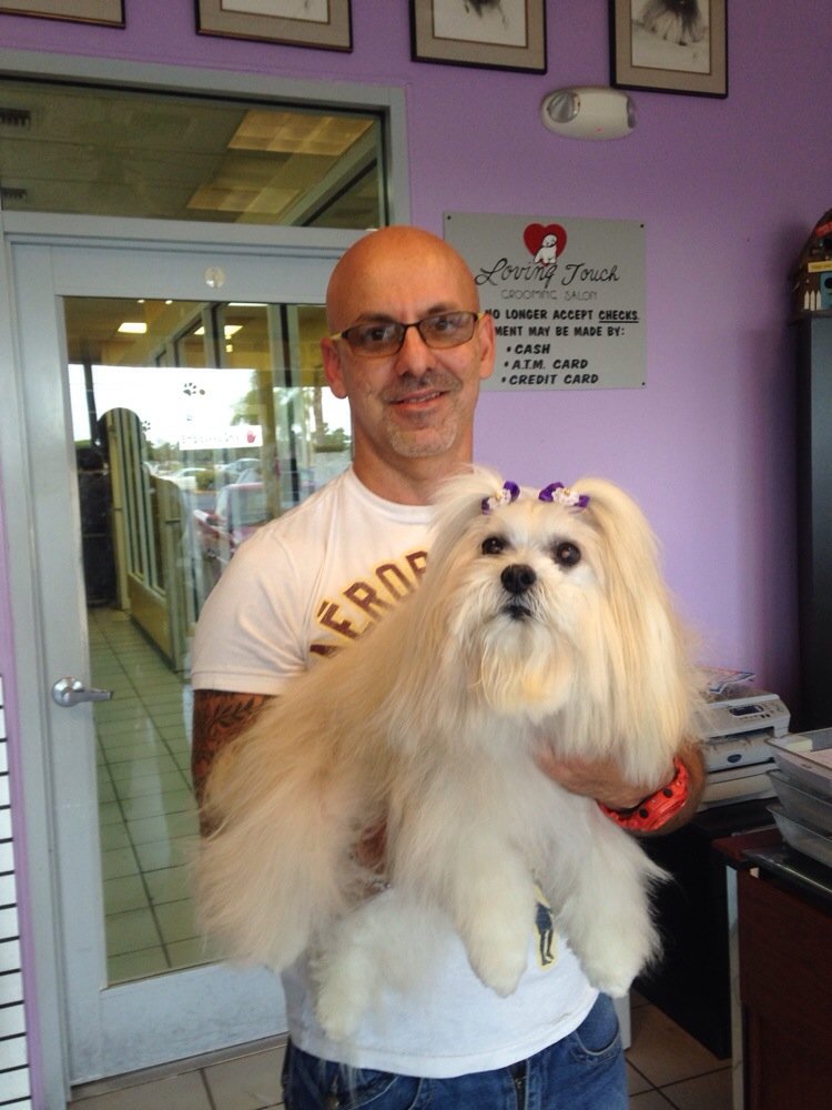 hairy mouth heeler cattle dogs