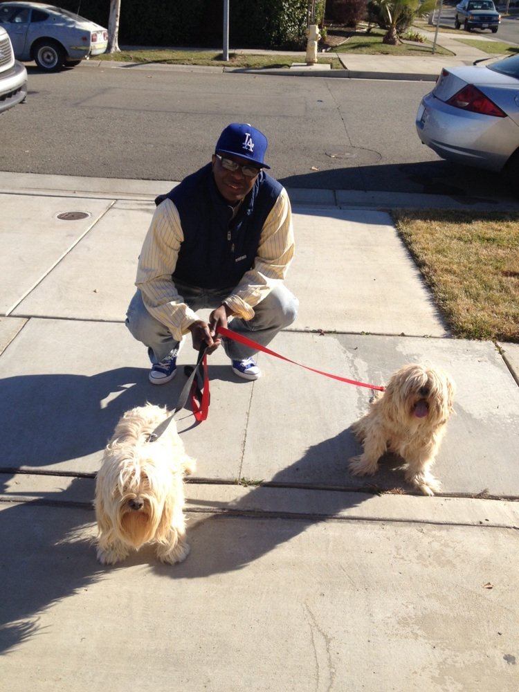 Petsmart Updated Covid 19 Hours Services 40 Photos 58 Reviews Pet Stores 865 Colusa Ave Yuba City Ca Phone Number Yelp