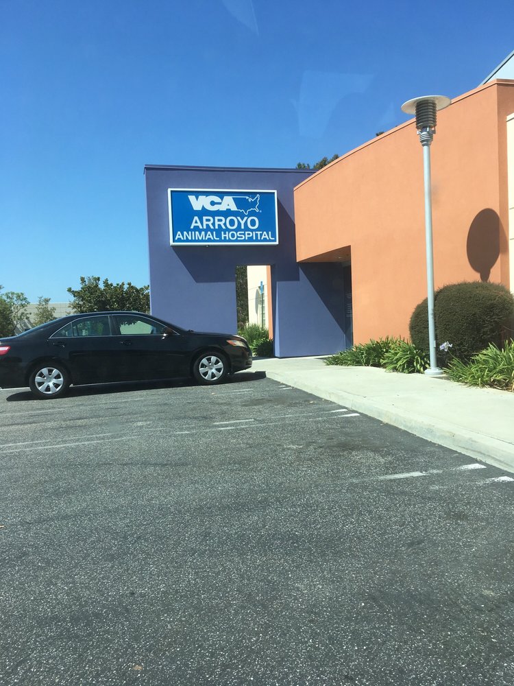 vca animal hospital lake forest